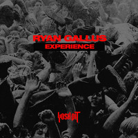 Ryan Gallus - Experience