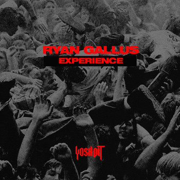 Ryan Gallus - Experience