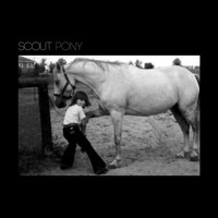 Scout - Pony