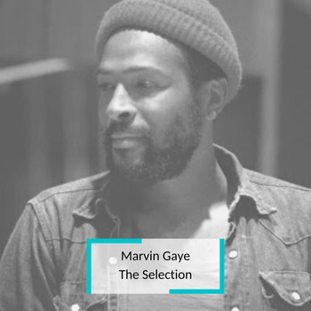 Marvin Gaye - Marvin Gaye - The Selection