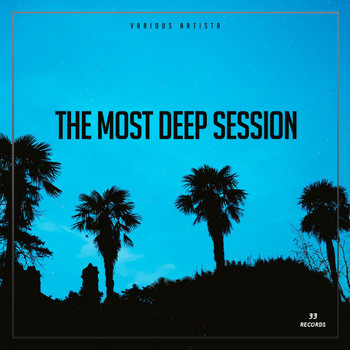 Various Artists - The Most Deep Session