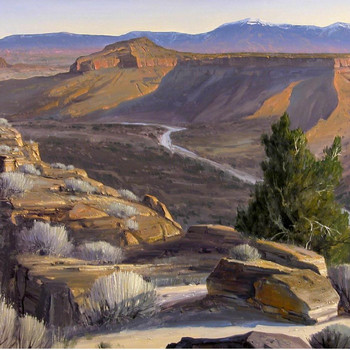 Burns - Downstream