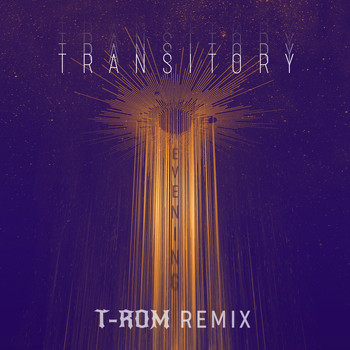 Dr Chrispy - Transitory Evening (Afro Travel) (feat. Haji Mike) (T-ROM Remix)