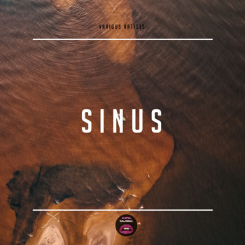 Various Artists - Sinus