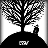 Essay - Life