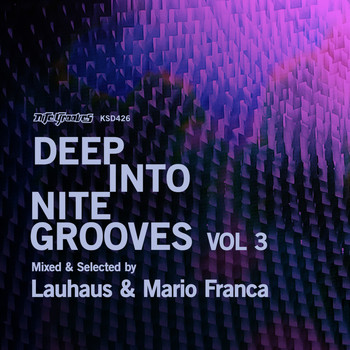 Lauhaus & Mario Franca - Deep Into Nite Grooves, Vol. 3