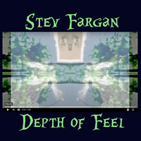 Stev Fargan - Depth of Feel