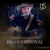 Brian Sandoval - Colección Privada