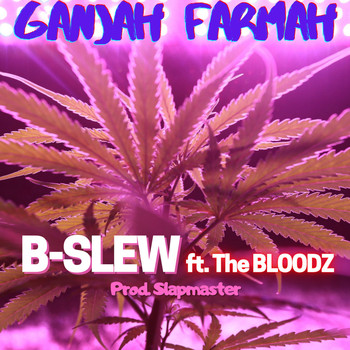 B-Slew - Ganjah Farmah (feat. The Bloodz) (Explicit)