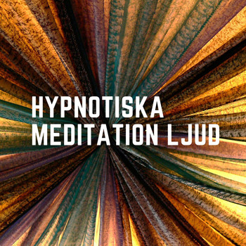 Blandade artister - Hypnotiska meditation ljud