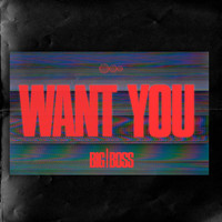 Big Boss - Want You (Explicit)