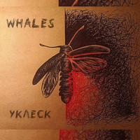 Whales - УКЛЕСК (Explicit)