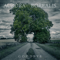 Aurora Borealis - Goodbye