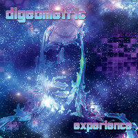 Digeometric - Experience