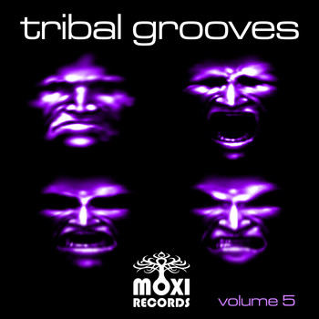 Various Artists - Tribal Grooves, Vol. 5