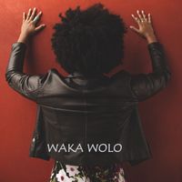 Mendes Brothers - Waka Wolo