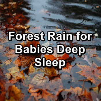 Relax - Forest Rain for Babies Deep Sleep