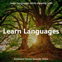 The Earbookers - Learn Languages While Sleeping with Ambient Forest Sounds: Intro