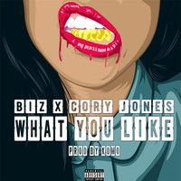 BIZ - What You Like (feat. Cory Jones) (Explicit)