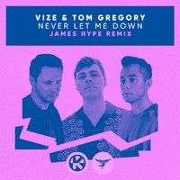 VIZE & Tom Gregory - Never Let Me Down (James Hype Remix)