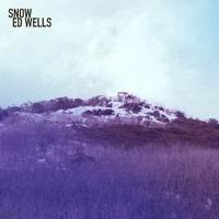 Ed Wells - Snow