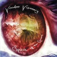 Voodoo Visionary - Spirit of the Groove
