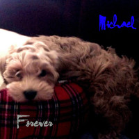Michael - Forever