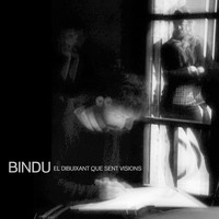 Bindu - El Dibuixant Que Sent Visions