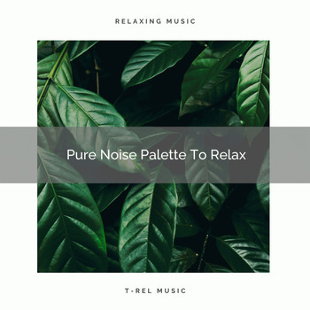 White Noise Spa - Pure Noise Palette To Relax