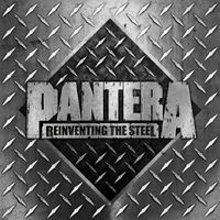 Pantera - Reinventing The Steel - 20th Anniversary Deluxe Edition (Terry Date Mix) (Explicit)