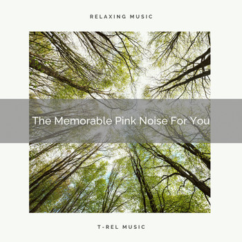 The White Noise Zen & Meditation Sound Lab - The Memorable Pink Noise For You