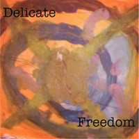 Delicate - Freedom (Explicit)