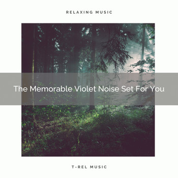White! Noise - The Memorable Violet Noise Set For You