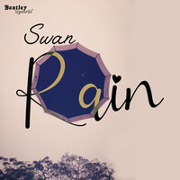 Swan - Rain