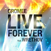 Gromee - Live Forever (Acoustic Version) [feat. Wrethov]