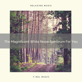 White Noise Spa - The Magnificent White Noise Spectrum For You