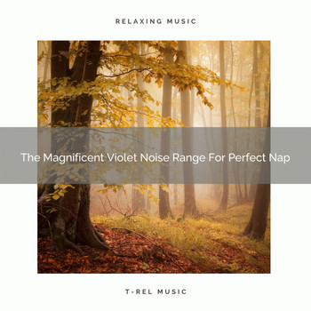 The White Noise Zen & Meditation Sound Lab - The Magnificent Violet Noise Range For Perfect Nap
