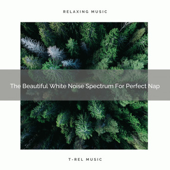 Ambient Nature White Noise - The Beautiful White Noise Spectrum For Perfect Nap