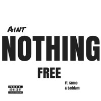 Privilege - Ain't Nothing Free (feat. Sumo & Sadddam) (Explicit)