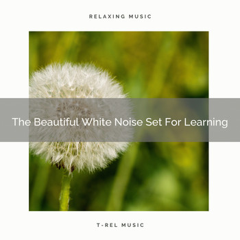 White Noise Spa - The Beautiful White Noise Set For Learning