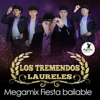 LOS TREMENDOS LAURELES - Megamix Fiesta Bailable
