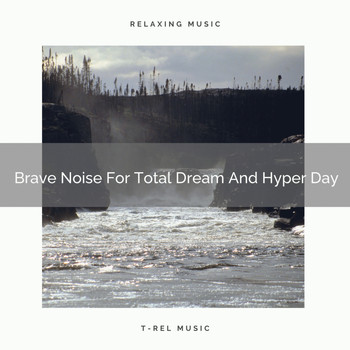 White Noise Spa - Brave Noise For Total Dream And Hyper Day