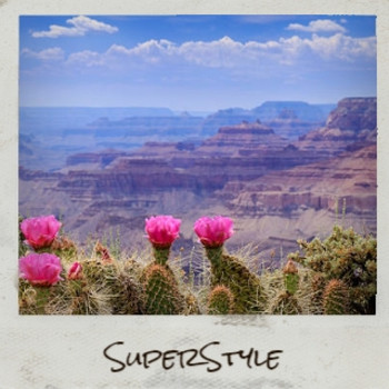 Various Artists - Superstyle