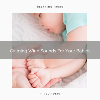 The White Noise Zen & Meditation Sound Lab - Calming Wind Sounds For Your Babies