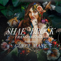 Shae Brock - Transparency