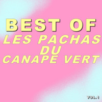 Les Pachas Du Canapé Vert - Best of les pachas du canapé vert (Vol.1)