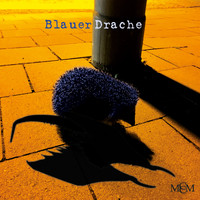 MCCM - Blauer Drache