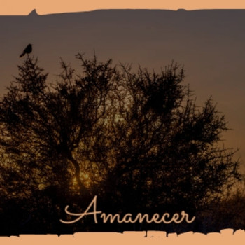 Various Artists - Amanecer
