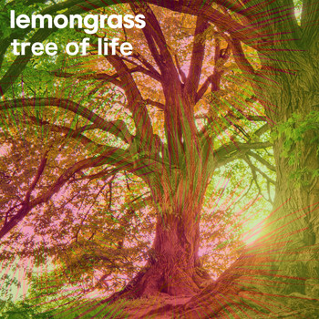 Lemongrass - Tree of Life
