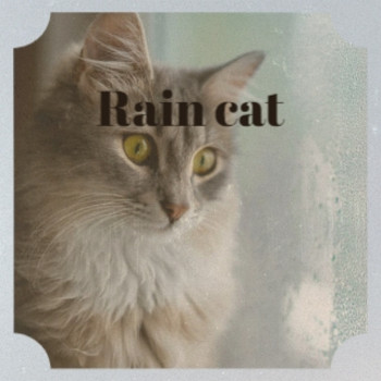 Various Artists - Rain Cat